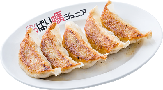 Japanese pan-fried dumpling